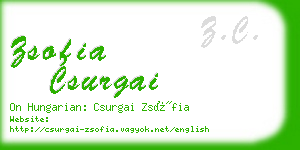 zsofia csurgai business card